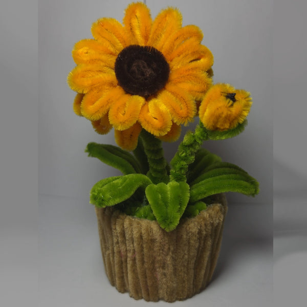 Mini Pots